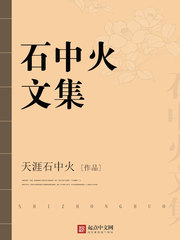 石中火文集 Book