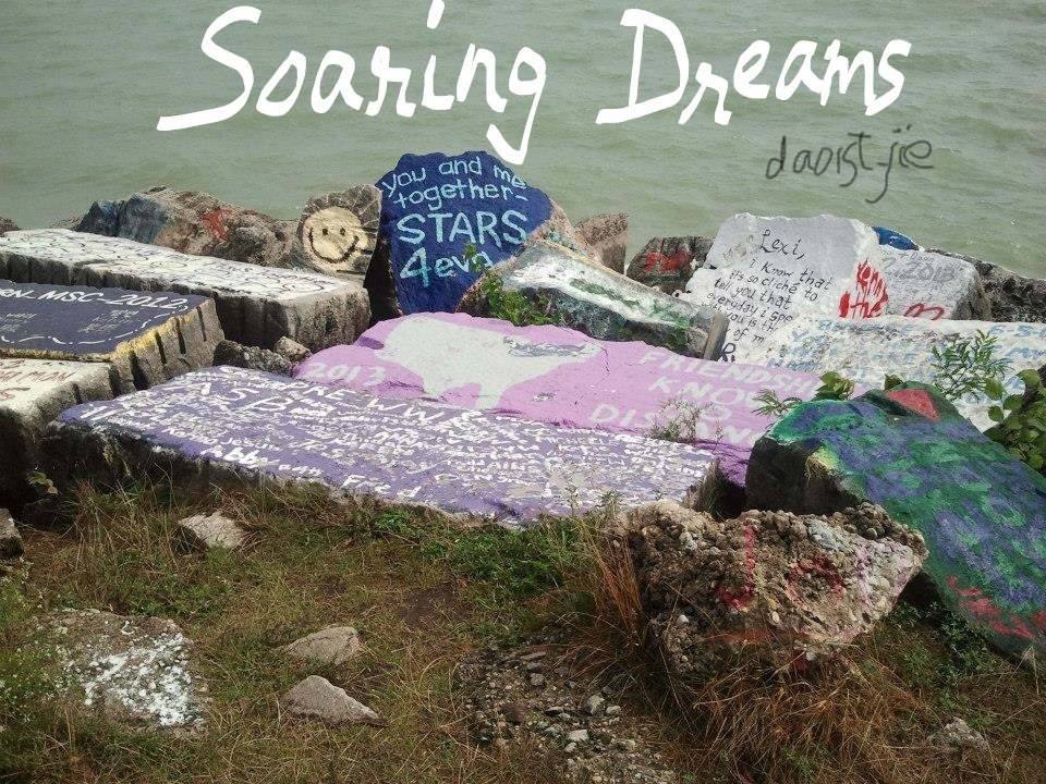 Soaring Dreams (dropped) Book