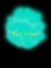 Test Server Book