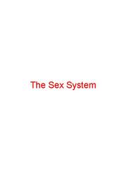 The Sex System Book