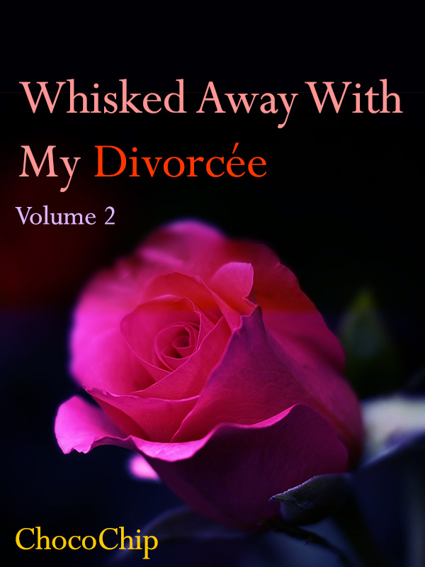 Whisked Away With My Divorcée