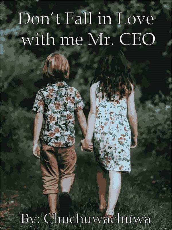 Don’t Fall in Love with me Mr. CEO Book