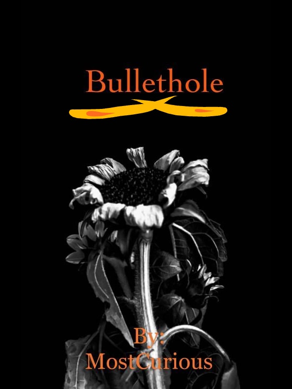 Bullet Hole Book