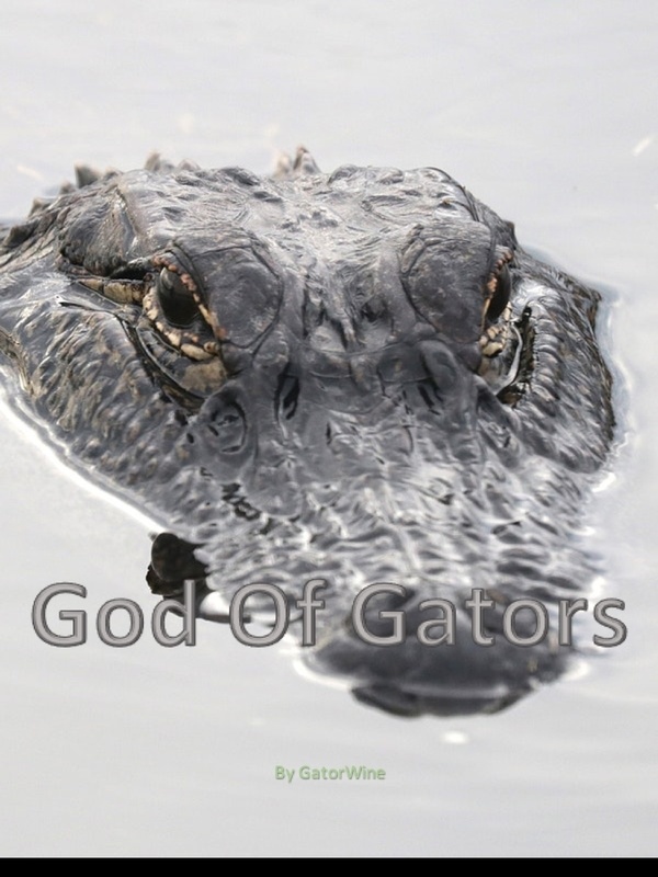 God Of Gators Book
