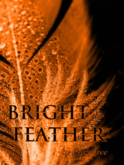 Bright Feather Book