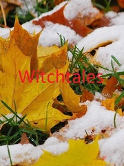 Witchtales Book