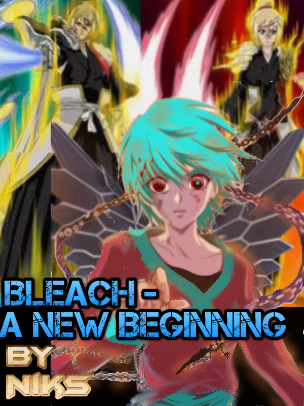 Bleach - A New Beginning Book