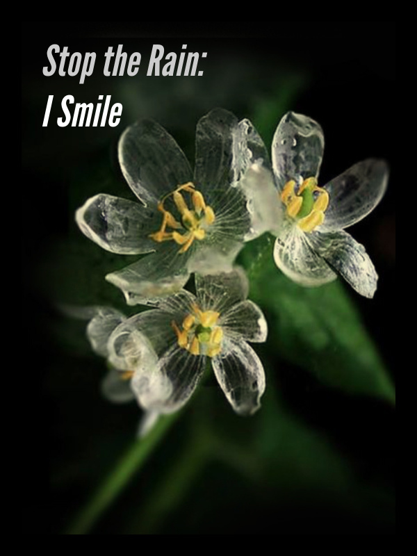 Stop The Rain: I Smile Book