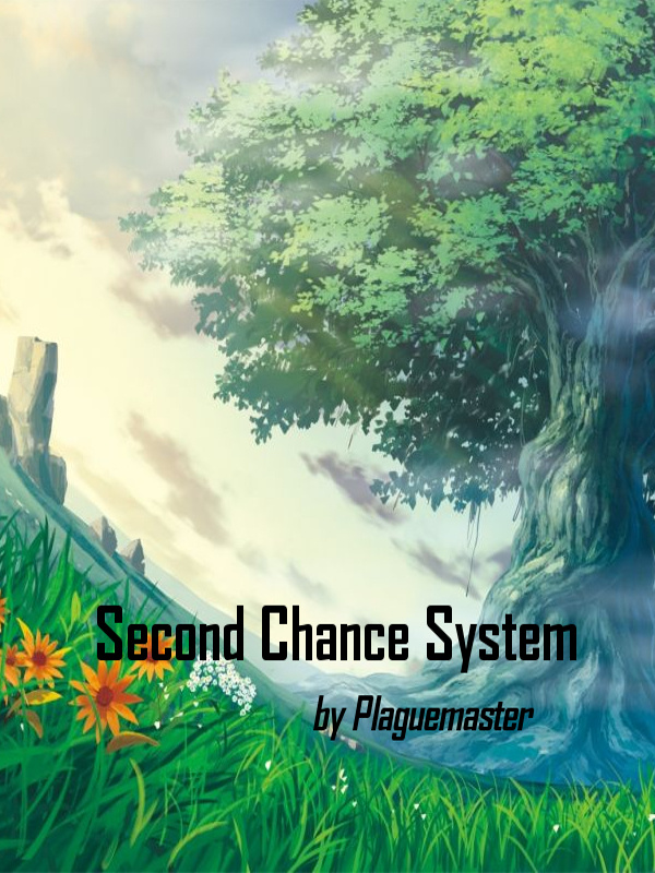 Second Chance System
