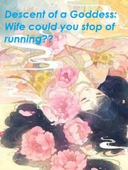 Descent of a Goddess: Wife could you stop of running?? Book