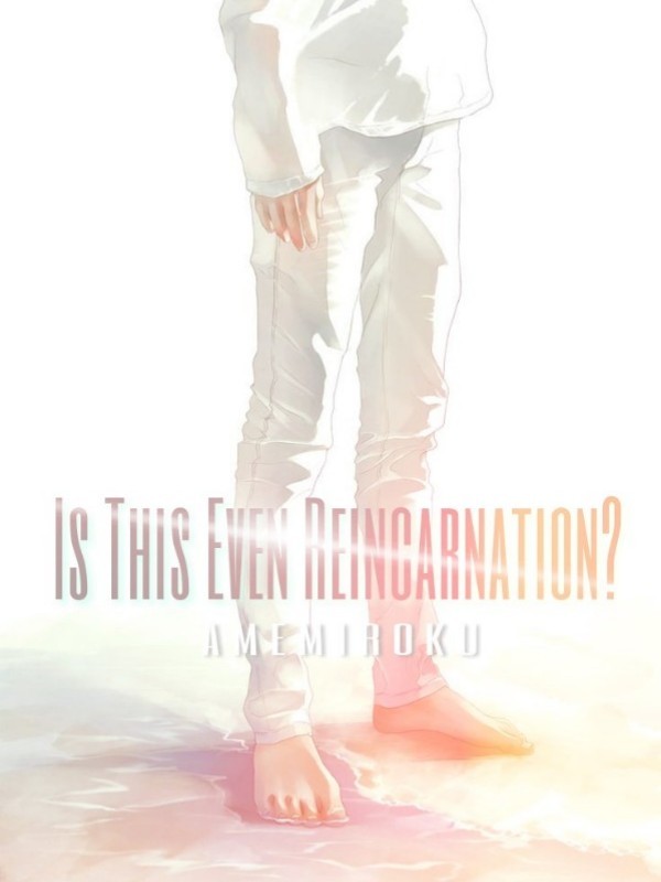 Is This Even Reincarnation? Book