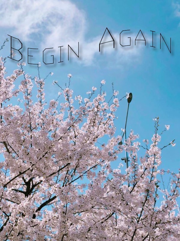 Begin Again (The Loop) Book