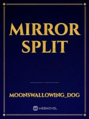 Mirror Split Book