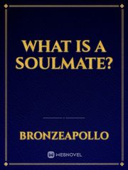 What is a Soulmate? Book