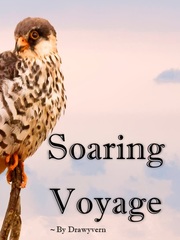 Soaring Voyage Book