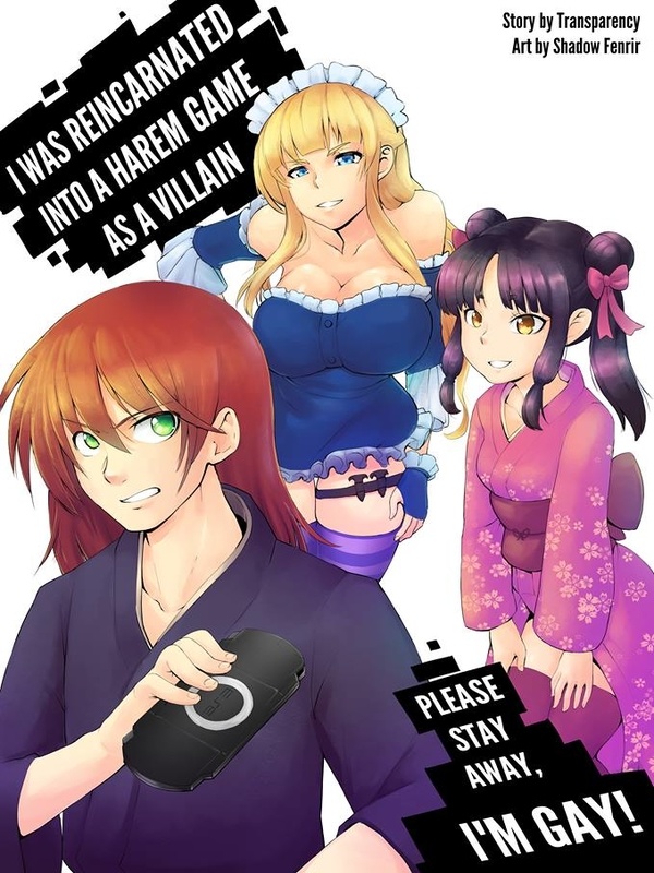I Was Reincarnated Into A Harem Game As A Villain, Please Stay Away I'm Gay! Book