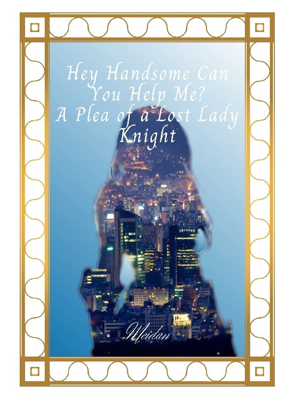 Hey Handsome Can You Help me? A Plea of a Lost Lady Knight Book
