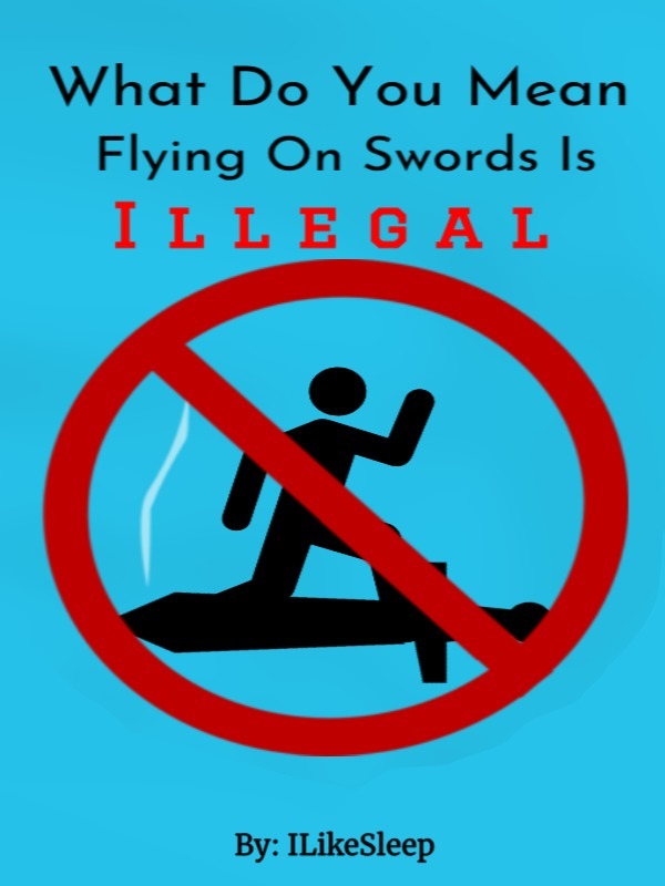 What Do You Mean Flying on Swords is Illegal? Book