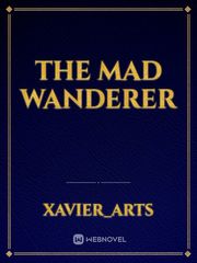 The mad wanderer Book