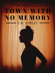 Town With No Memories Book