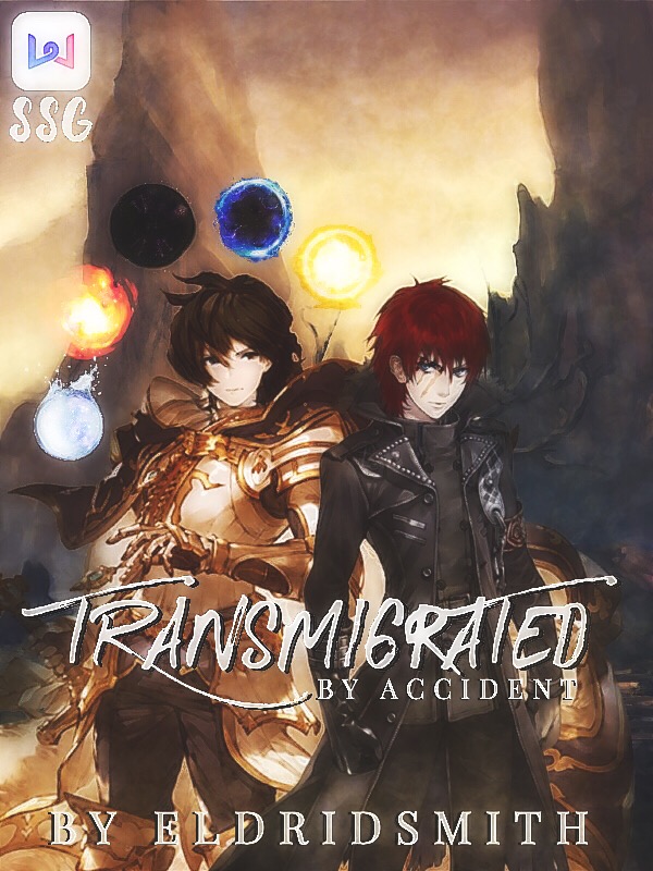 Transmigrated by Accident Book