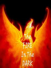 The Fire in the Dark Book