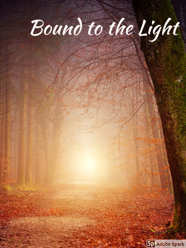 Bound to the Light Book