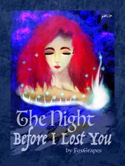 The Night Before I Lost You Book