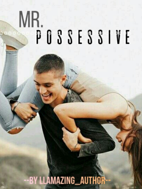 Mr. Possessive Book