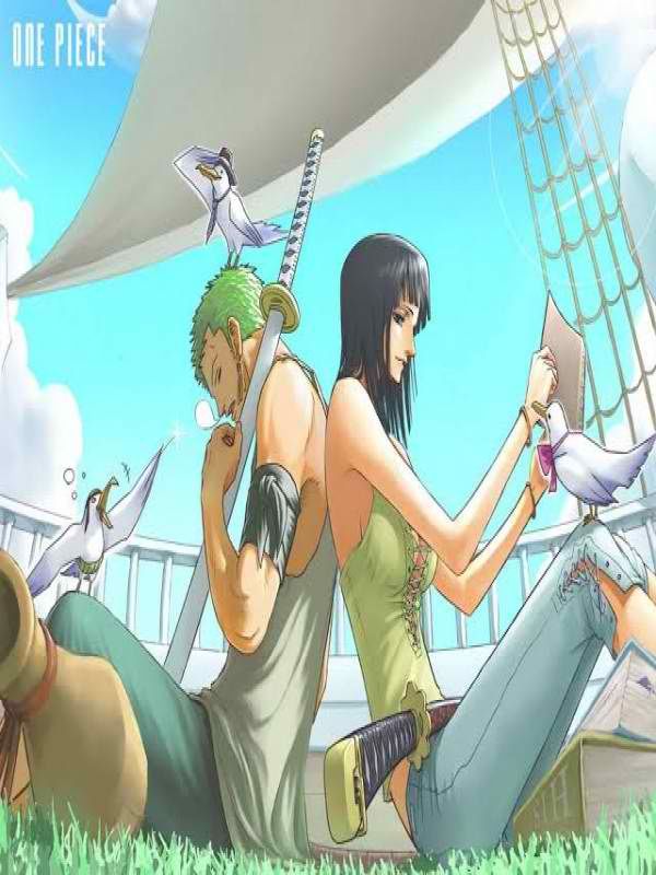 In One Piece as Zoro Book