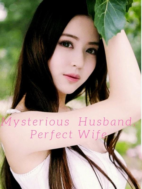 Mysterious Husband,Perfect Wife