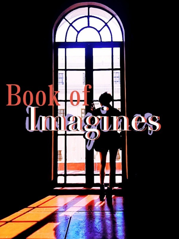 Book of Imagines Book