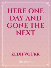 Here one day and gone the next Book