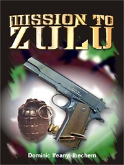 MISSION TO ZULU Book