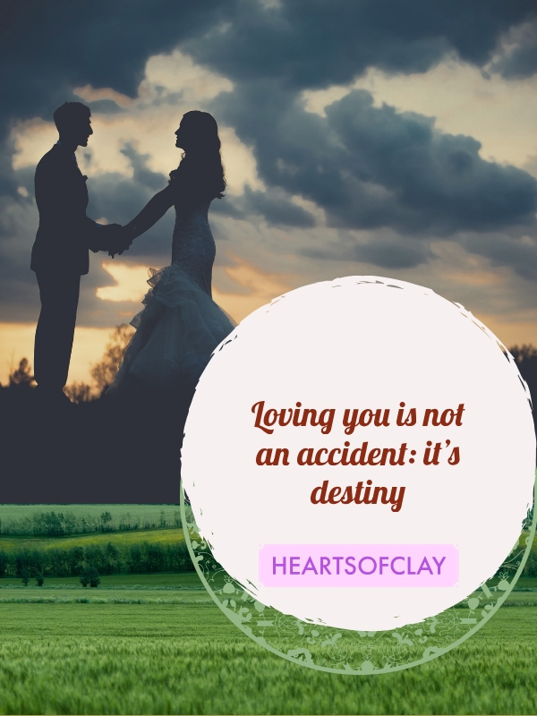 Loving You Is Not An Accident: It's Destiny (A Preview) Book