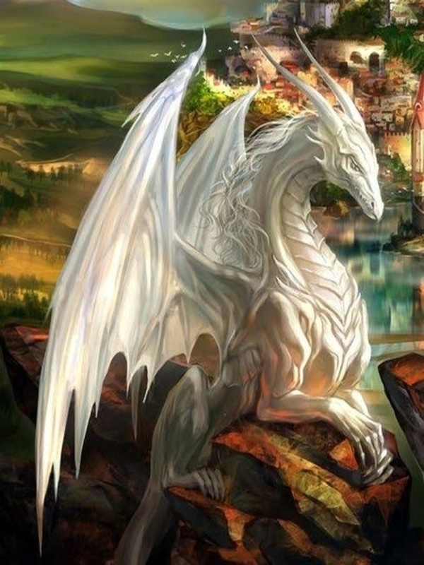 Dragon's Final Quest Book