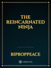The Reincarnated Ninja Book