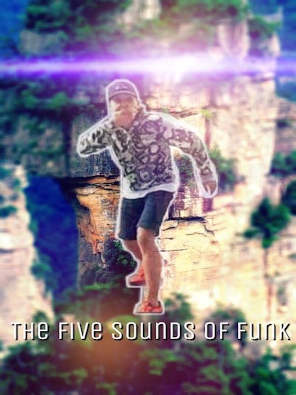 The Five Sounds of Funk