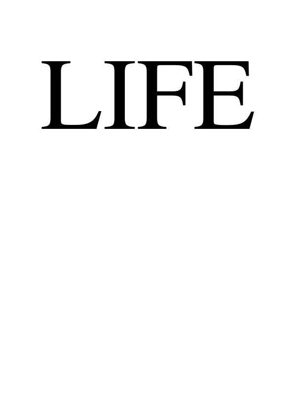 The word life 300 times across 300 chapters Book