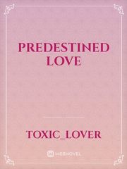 Predestined Love Book