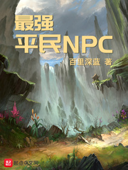 最强平民NPC Book