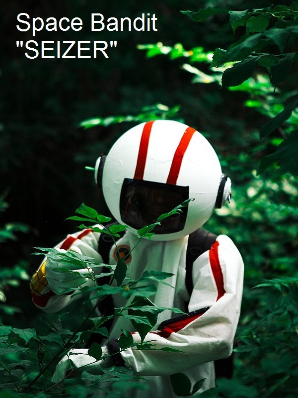 Space Bandit "SEIZER" Book