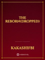 The Reborn(Dropped) Book