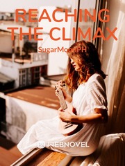 Reaching The Climax Book