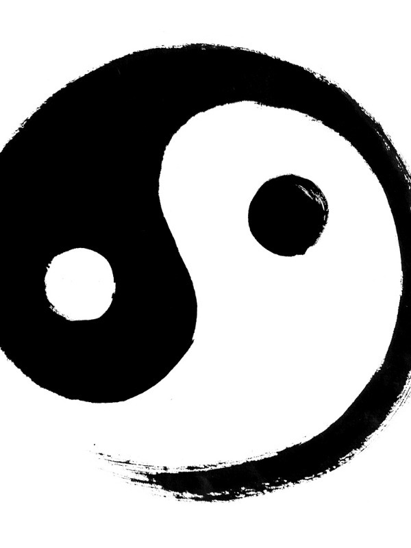 The Yin Yang Soul