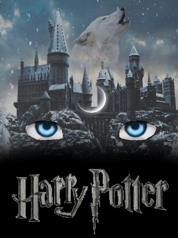 Harry Potter: Path of Magic Book
