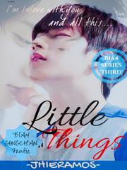 Little Things Book