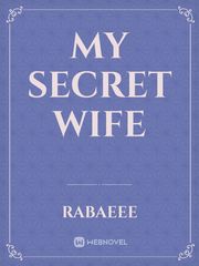 My Secret Wife Book