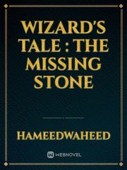 Wizard's Tale : The Missing Stone Book