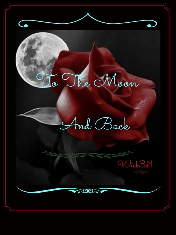 To The Moon And Back Book